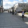 IMG_2239